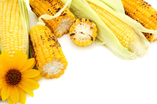 Fresh cobs with green leaves and grilled corn on a white background.