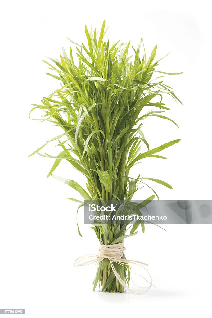 Tarragon herb bunch Fresh tarragon herb bunch isolated on white background. Botany Stock Photo