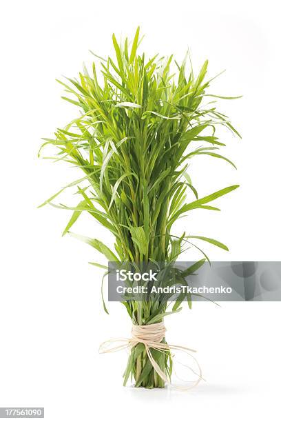 Tarragon Herb Bunch Stock Photo - Download Image Now - Botany, Bunch, Bundle