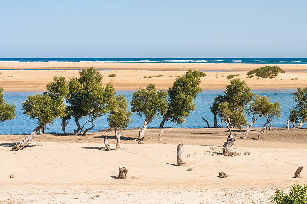 Seascape of Ifaty Seascape of Ifaty, southwestern Madagascar madagascar beach photos stock pictures, royalty-free photos & images