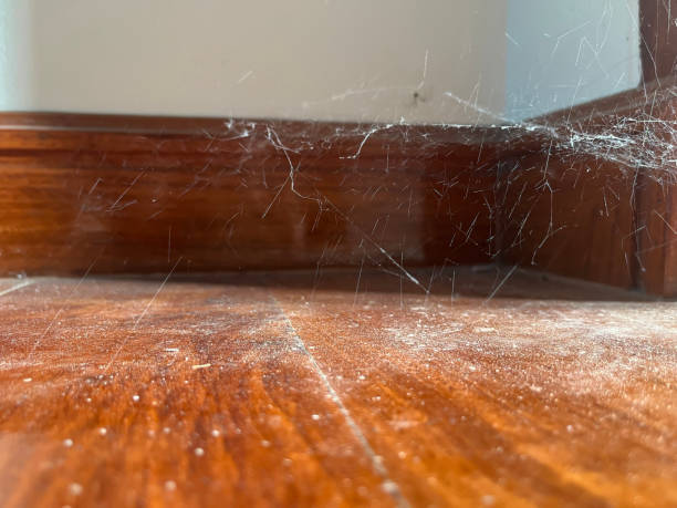 istock Spider webs and dust on the wooden floor. 1775631562