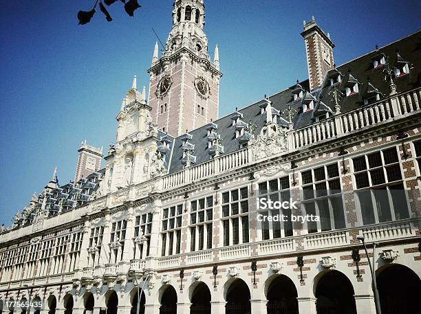 University Library In Leuven Belgium Stock Photo - Download Image Now - Leuven, University, Library
