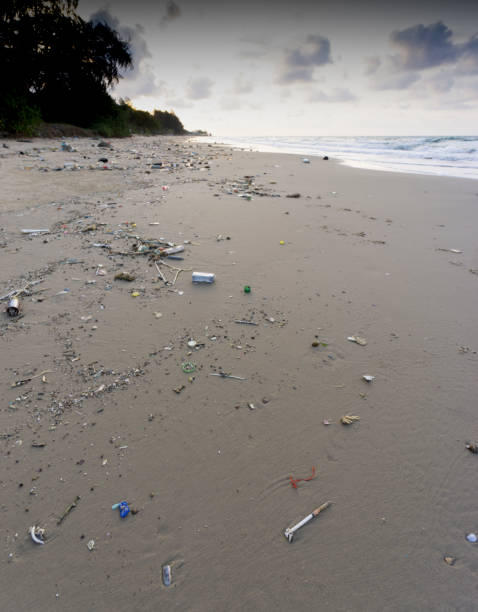 istock Tropical beaches destroyed by human rubbish and vandalism global warming and ignorance 1775680064