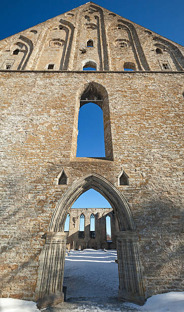 앤시언트 고트어 유적 피리타 수도원 in ��에스토니아 탈린 - estonia tallinn old ruin ruined 뉴스 사진 이미지