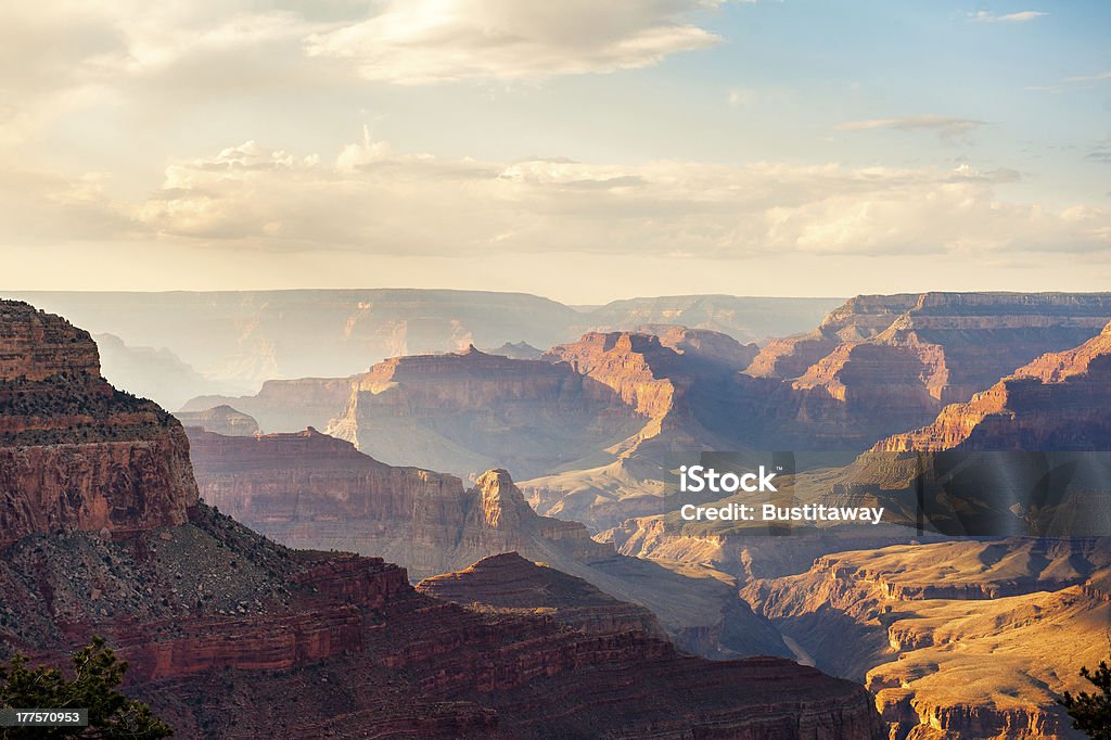 Grand canyon o zachodzie słońca - Zbiór zdjęć royalty-free (Bez ludzi)