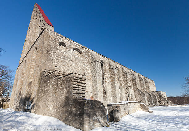 antico convento di sant'brigitte in pirita regione, tallinn, estonia - estonia tallinn old ruin ruined foto e immagini stock