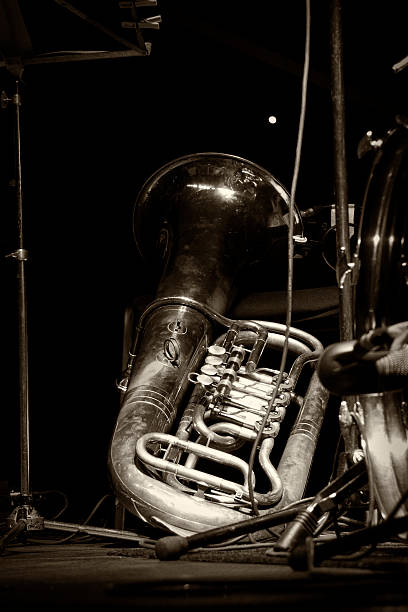istock Old vintage euphonium, tuba 177571581