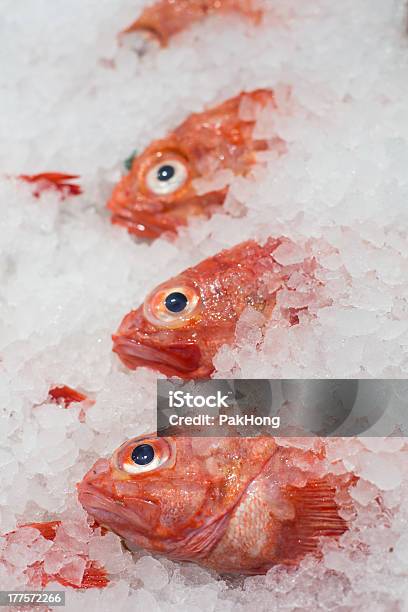 Peixe Fresco Exibido No Mercado Sobre Gelo - Fotografias de stock e mais imagens de Alimentação Saudável - Alimentação Saudável, Banca de Mercado, Captura de Peixe