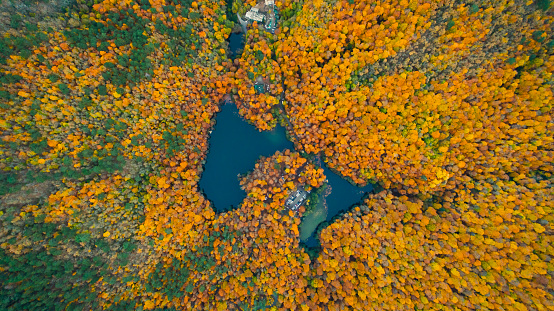 Aerial view of  Yedigoller nature landscape. The magnificent harmony of lakes and autumn colors. Bolu, Turkey.