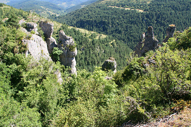 istock Gorges du Tarn, France 177580253