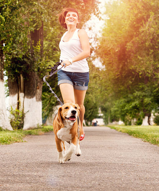 active a piedi con animali - dog pets healthy lifestyle cheerful foto e immagini stock