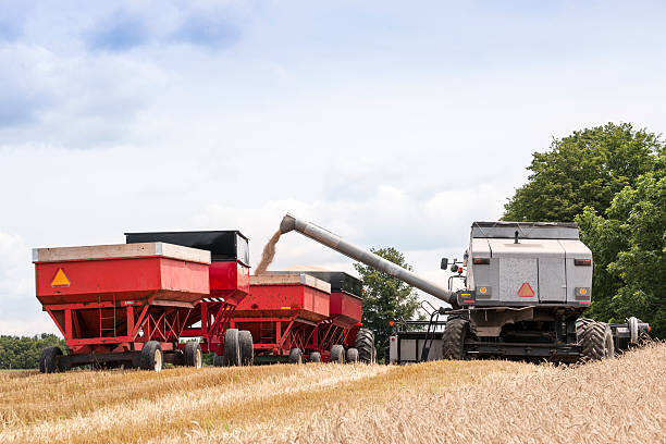 istock Combine harvester filling trailers 177582154
