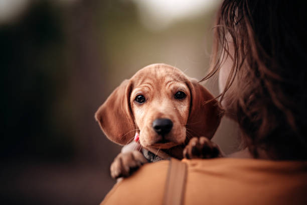 istock I'm your friend 1775825425