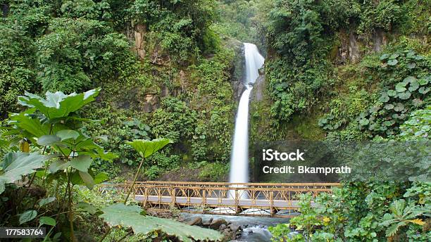 Waterfall Bridge Stock Photo - Download Image Now - Animal Wildlife, Bridge - Built Structure, Costa Rica