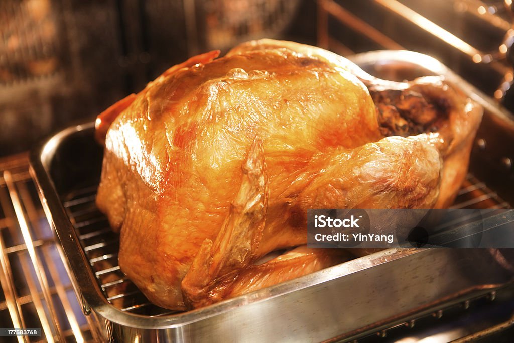 RoastingThanksgiving Turchia nel forno - Foto stock royalty-free di Figura intera