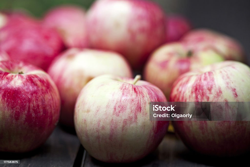 Manzanas - Foto de stock de Aire libre libre de derechos