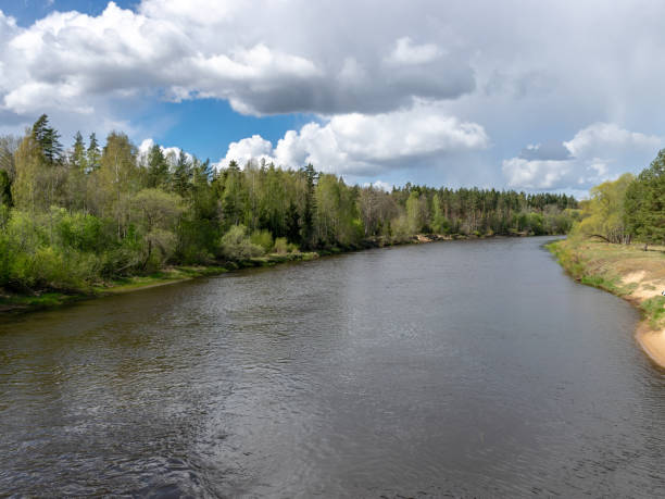 istock spring landscape with a river, the first bright spring greenery on the river bank 1775852063