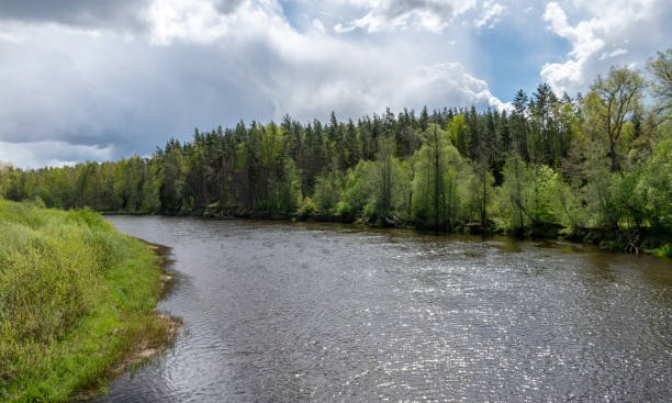 istock spring landscape with a river, the first bright spring greenery on the river bank 1775852067