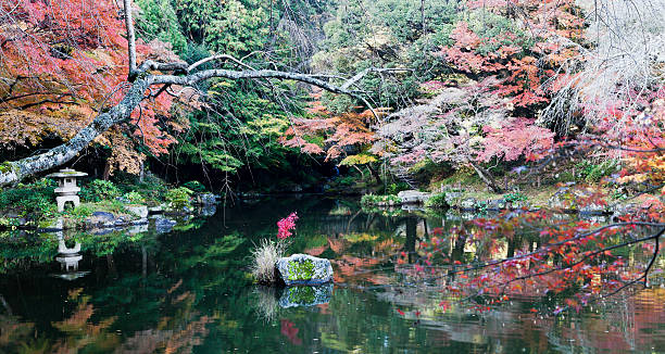 istock Autumn Japanese Garden 177585213