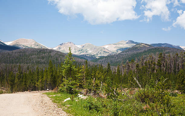istock Rocky Mountains in Colorado 177585672