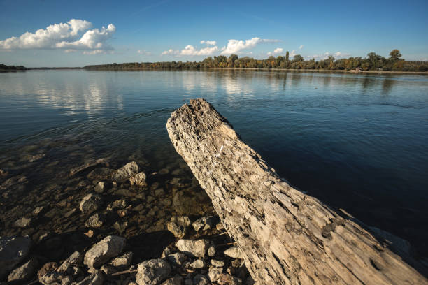 Autumn scene from river, river shore reflecting at blue water surface at sunny autumn day, stranded log in foreground, late afternoon, no people