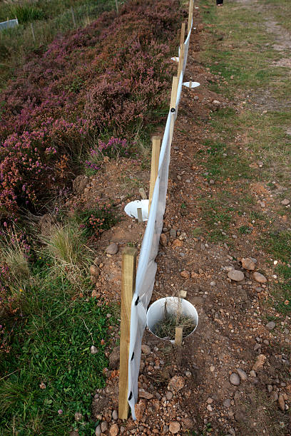 istock Fencing to catch reptiles 177587127