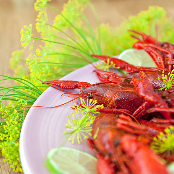 Image of a plate of crayfish and sprigs of dill for a traditional swedish crayfish party.
