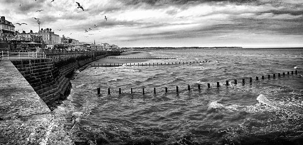 Seagulls flying over sea wall at Bridlington, UK (Mobile image)