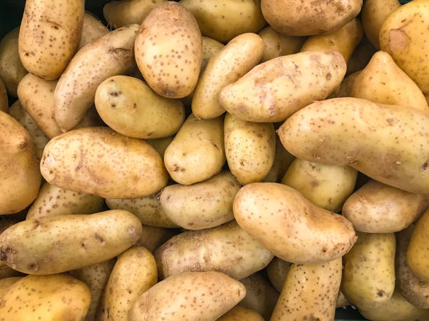istock Potato texture arranged in a beautiful background 1775901826