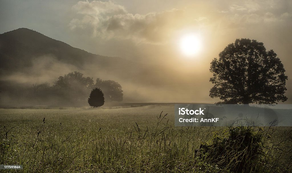 Cades Cove mattina - Foto stock royalty-free di Cades Cove