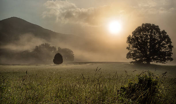 istock Cades Cove morning 177591864