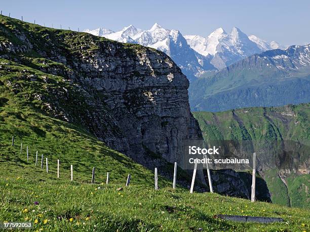 Berner Alpen Stockfoto und mehr Bilder von Alpen - Alpen, Ansicht aus erhöhter Perspektive, Aster