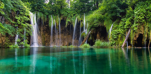 Waterfall in forest. Crystal clear water. Plitvice lakes, Croatia