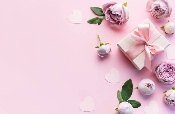 istock Pink rose flowers on pastel pink background 1775925500