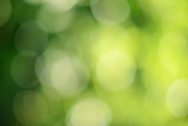 istock Green and yellow bokeh 177592941