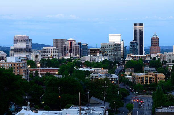 istock Portland Vista 177594570
