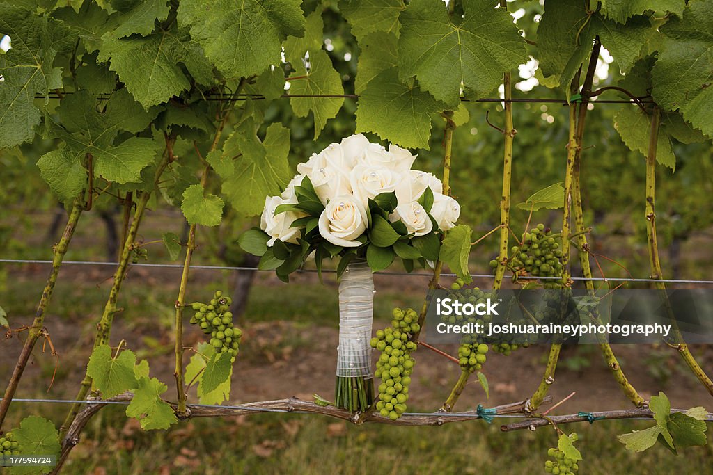 Ramo para novias en Vineyard - Foto de stock de Boda libre de derechos