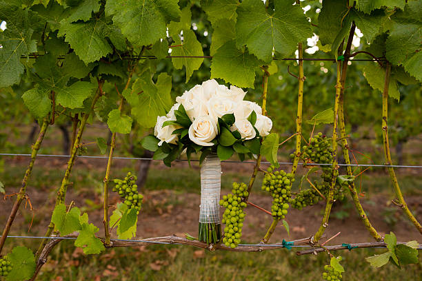 Bridal Bouquet in Vineyard stock photo