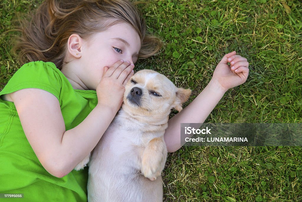 Blond happy girl with her chihuahua doggy portrait Blond happy girl with her chihuahua doggy portrait lying on lawn Dog Stock Photo