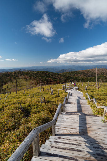 istock Walk on a pleasant promenade 1775950993