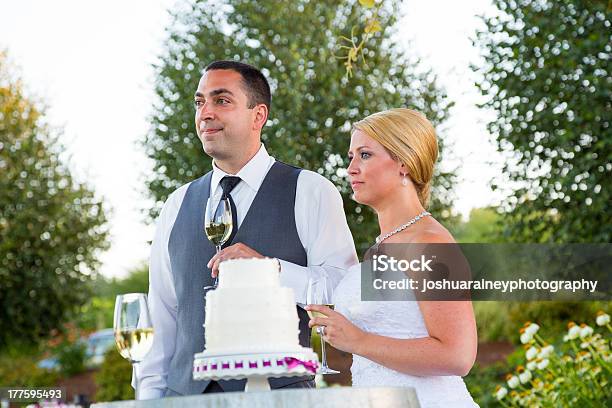 Braut Und Bräutigam Hochzeitstoasts Stockfoto und mehr Bilder von Alkoholisches Getränk - Alkoholisches Getränk, Alkoholismus, Braut