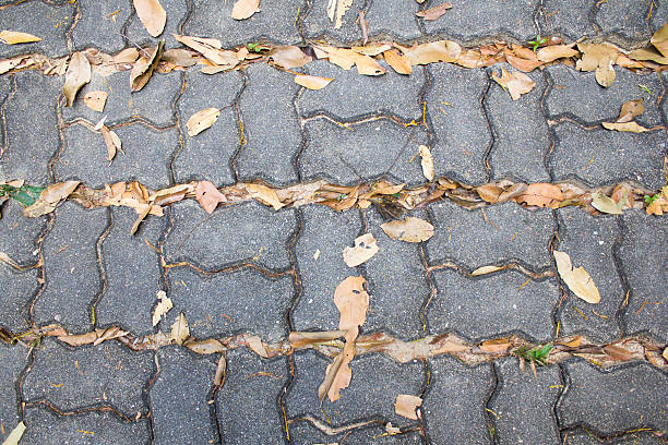 istock stone  walkway on the gardent 177595552