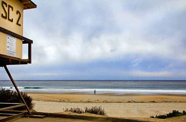 istock Person walking alone along the beach 177596019