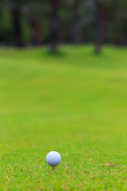 istock Golf ball on teeing area over a blurred green 177597953