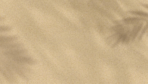 istock Sand texture background with palm leaves silhouette,Coconut leaf Shadow on Brown Sandy Beach,Vector top view Sand Surface,Backdrop background Wide Horizon Desert dune for Summer Product Presentation 1775981568