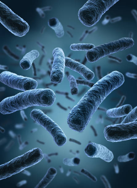 istock Group of bacteria on a blue background 1775983707