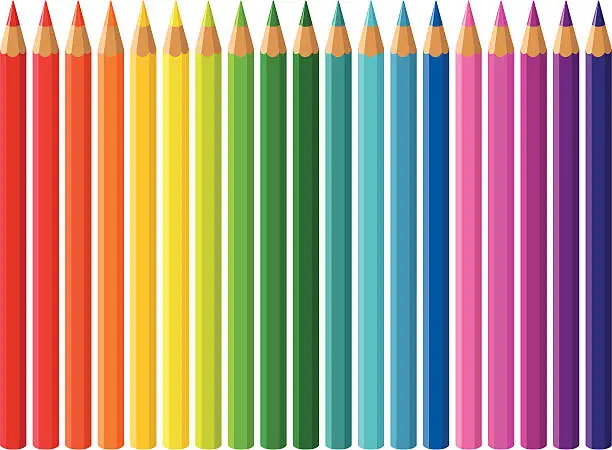 Vector illustration of coloured pencils