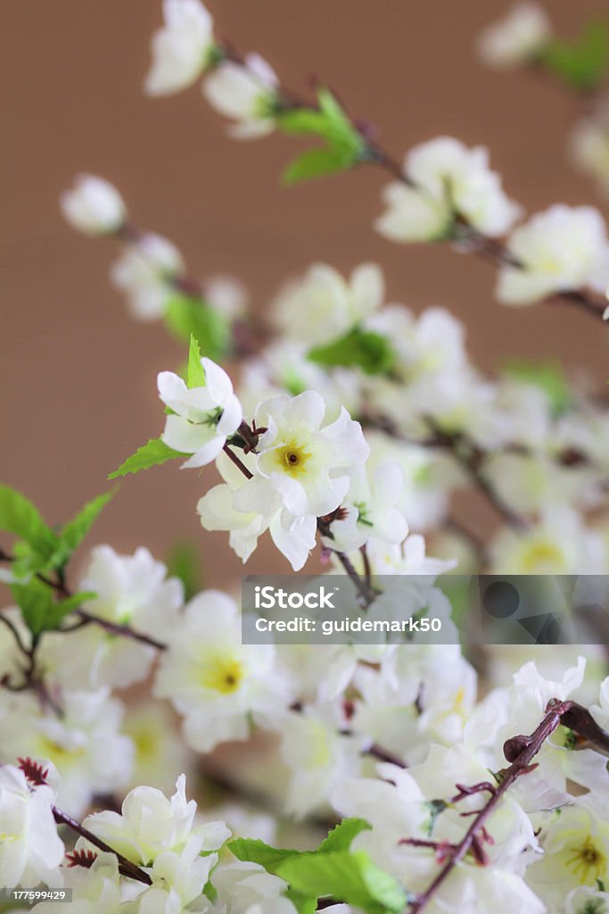 Flores Artificial - Foto de stock de Branco royalty-free