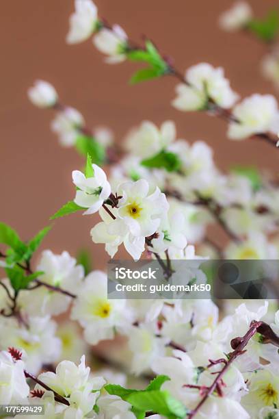 Foto de Flores Artificial e mais fotos de stock de Branco - Branco, Cabeça da flor, Decoração