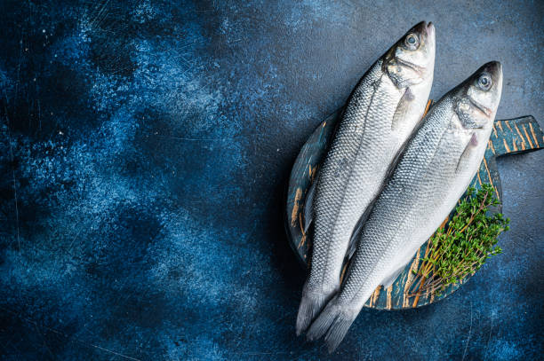 istock Uncooked Raw Sea Bass fish, Seabass with thyme. Blue background. Top view. Copy space 1775999064